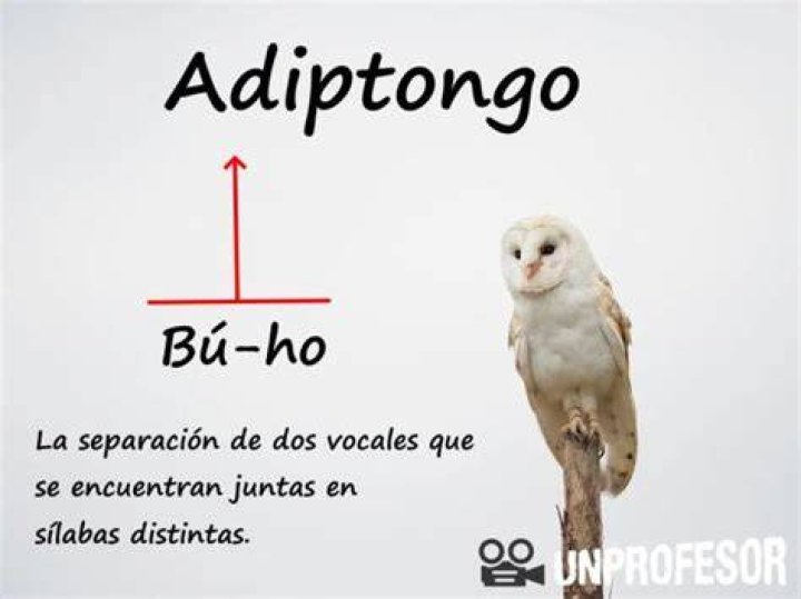 ¿Cuál es el Adiptongo