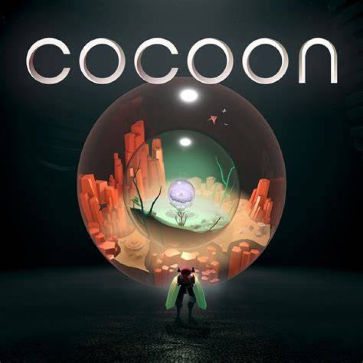 What is cocoon answer