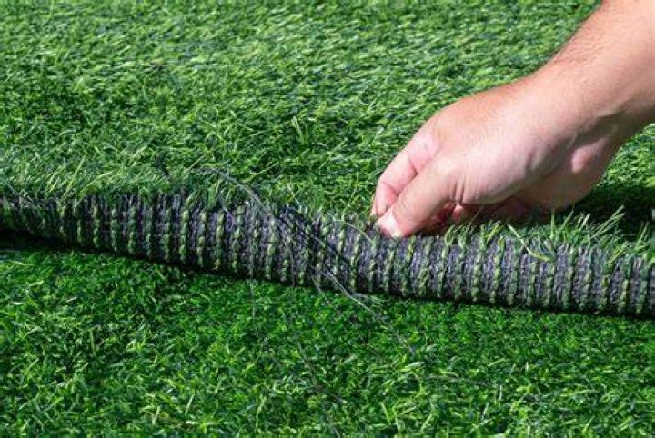 What is grass made of